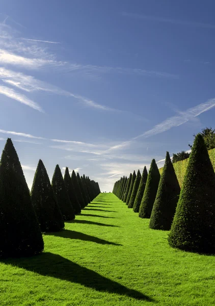 Giardino formale — Foto Stock