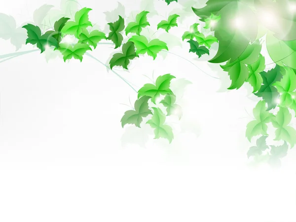 用新鲜的绿色叶子背景 — 图库矢量图片