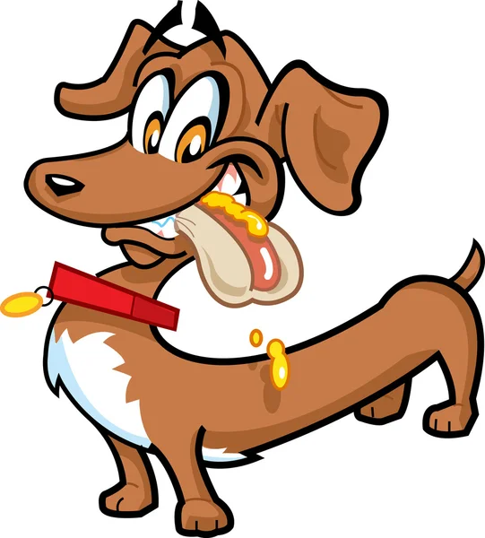 Perro caliente Dachshund — Vector de stock