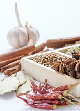 Baharat çerçevelenmiş toplama