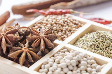 Baharat çerçevelenmiş toplama