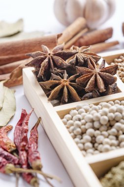 Baharat çerçevelenmiş toplama