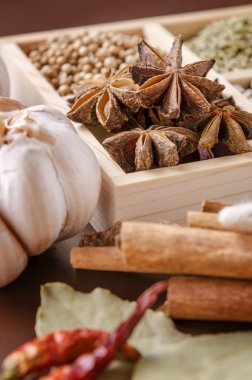 Baharat çerçevelenmiş toplama
