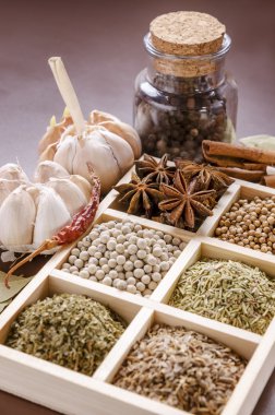 Baharat çerçevelenmiş toplama