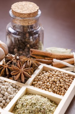 Baharat çerçevelenmiş toplama