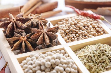 Baharat çerçevelenmiş toplama