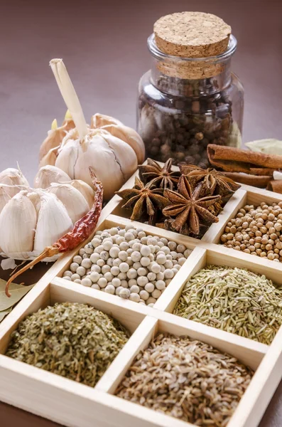 Framed collection of spices — Stock Photo, Image