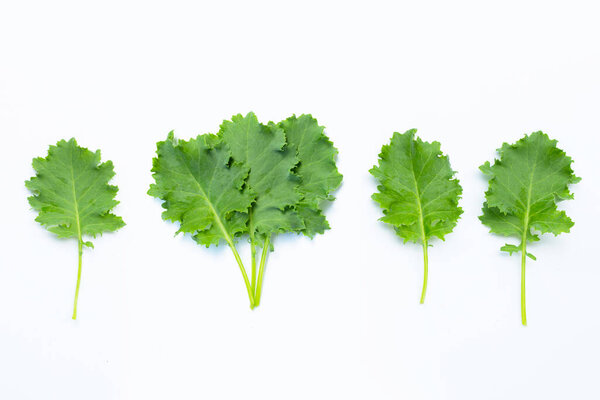 Kale leaves on white background. Top view