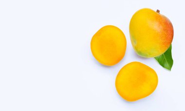 Tropik meyve, beyaz arka planda mango. Boşluğu kopyala