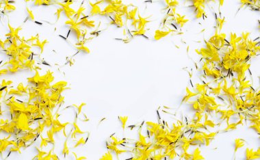 Beyaz arkaplanda kadife çiçeği yapraklarından yapılmış çerçeve