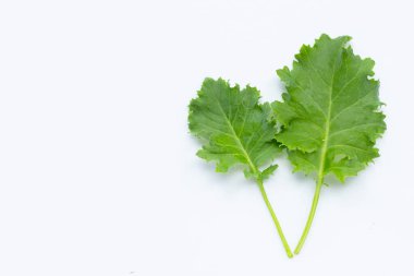 Beyaz arka planda kale yaprakları. Üst görünüm
