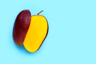Tropik meyve, mavi arka planda mango. Üst görünüm