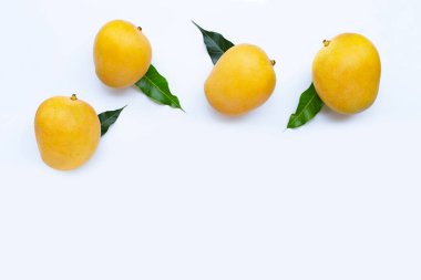 Tropik meyve, beyaz arka planda mango. Üst görünüm