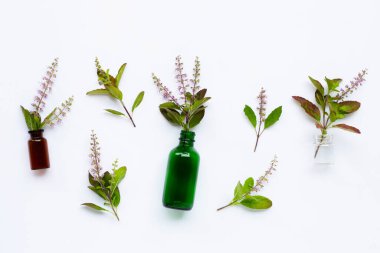 Temel yağ şişeleri taze fesleğen yaprakları ve beyaz arka planda çiçekler..