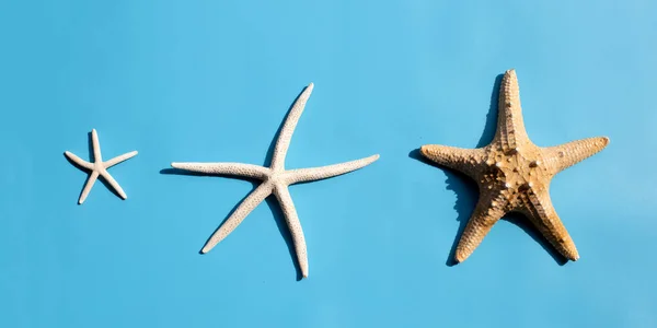 Tres Estrellas Mar Sobre Fondo Azul Vista Superior —  Fotos de Stock
