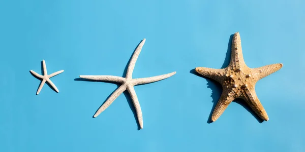 Tre Stelle Marine Sfondo Blu Vista Dall Alto — Foto Stock