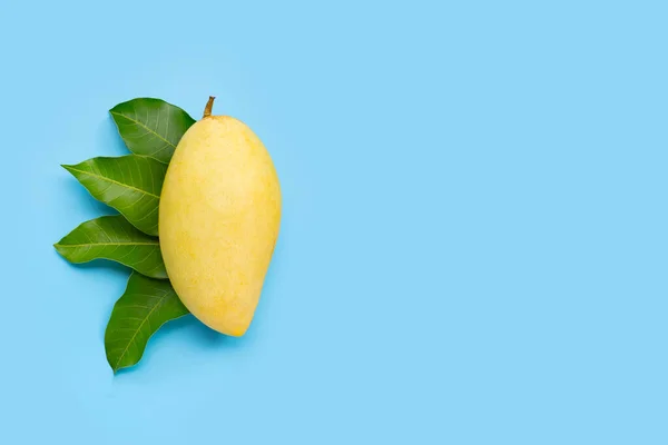 Tropical fruit, Mango with leaves on blue background. Top view