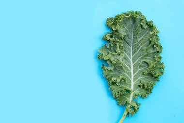 Mavi arka planda taze lahana salatası sebzesi.
