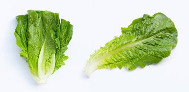 Beyaz arka planda taze romaine marulu.