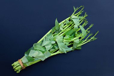 Karanlık arka planda sabah zaferi.