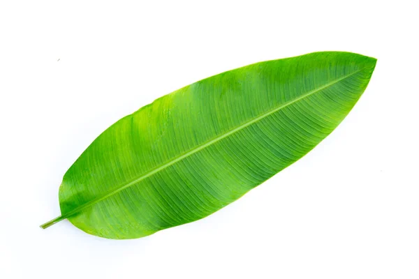 Heliconia Foglie Sfondo Bianco Copia Spazio — Foto Stock