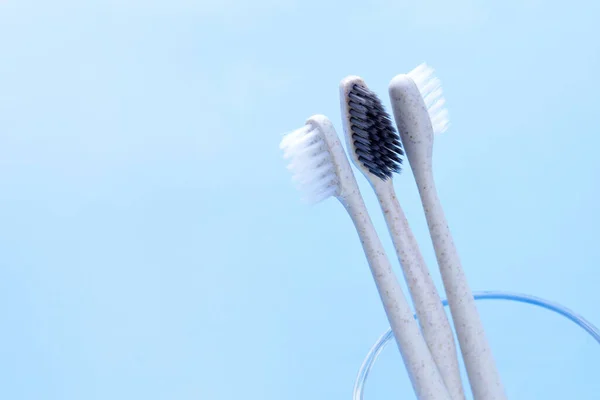 Escovas Dentes Copo Branco Espaço Cópia — Fotografia de Stock