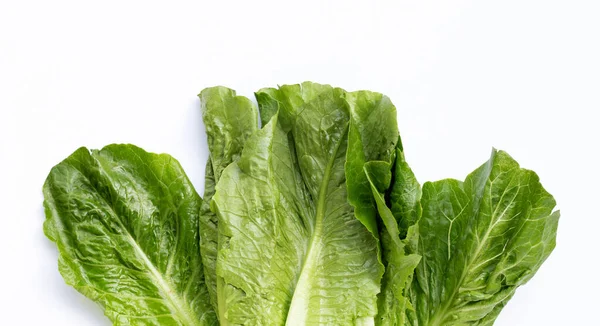 Fresh Romaine Lettuce Isolated White Background — Stock Photo, Image