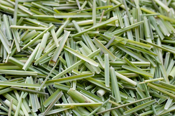 Close Organic Lemongrass Leaves Cut Royalty Free Stock Images