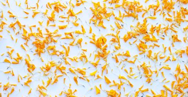 Beyaz arkaplanda kadife çiçeği yaprakları.