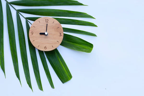 Relógio Madeira Folhas Verdes Fundo Branco Espaço Cópia — Fotografia de Stock