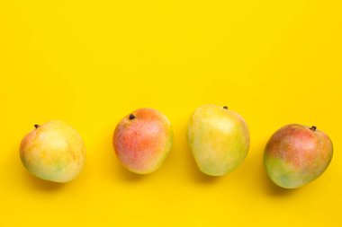 Tropik meyve, sarı arka planda mango. Boşluğu kopyala