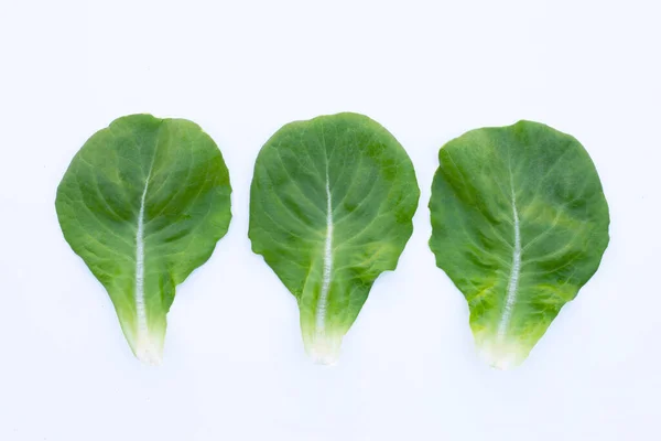Salatblätter Auf Weißem Hintergrund — Stockfoto