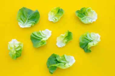 Sarı arka planda marul yaprakları. Üst görünüm