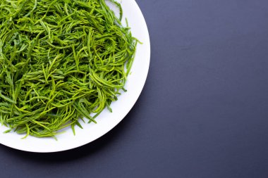 Koyu arkaplanda Wattle ya da Acacia yaprakları tırmanıyor.