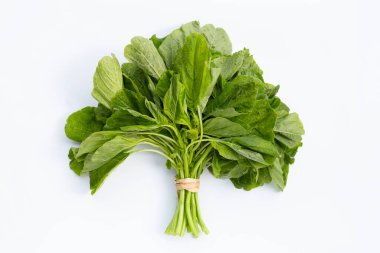 Beyaz arkaplanda yeşil Tayland ıspanağı.