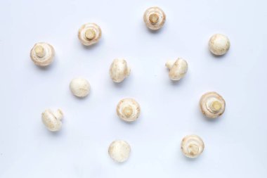 Beyaz arka planda Şampiyon mantarları. Üst görünüm