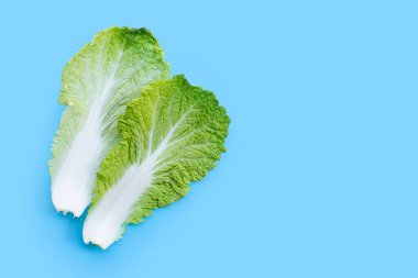 Mavi arka planda Çin lahanası. Boşluğu kopyala