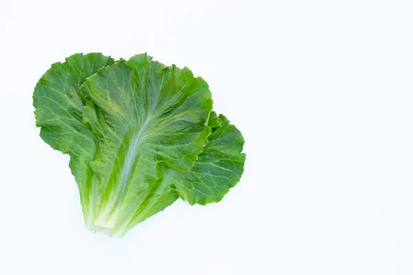 Lettuce Leaves White Background Top View — Stock Photo, Image