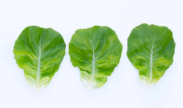 Salatblätter Auf Weißem Hintergrund — Stockfoto