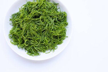 Beyaz arkaplanda Wattle ya da Acacia yaprakları tırmanıyor.