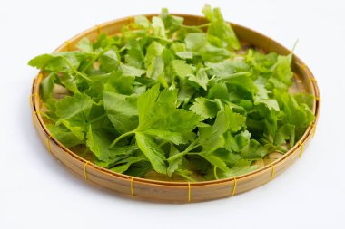 Beyaz arkaplanda bambu sepetinde Çin kerevizi.. 