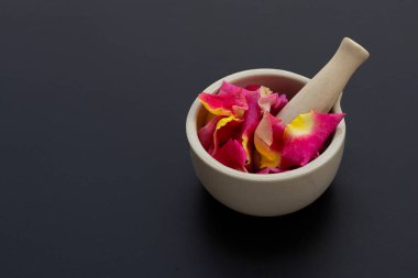 Porselen havan topuzlu gül yaprakları koyu arkaplanda izole edilmiş..