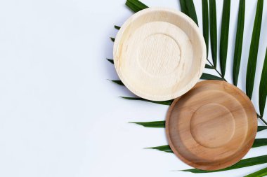 Beyaz arkaplanda Betel palmiye yaprağı.