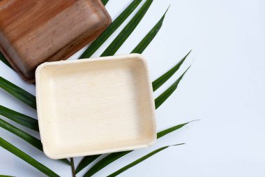 Beyaz arkaplanda Betel palmiye yaprağı.