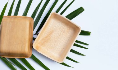 Beyaz arkaplanda Betel palmiye yaprağı.