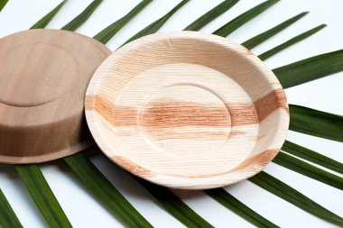 Beyaz arkaplanda Betel palmiye yaprağı.