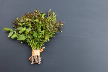 Koyu arkaplanda yapraklar ve çiçekler.