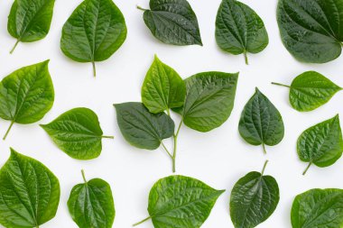 Taze Vahşi Betel yaprakları beyaz arkaplanda izole