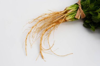 Beyaz arkaplanda taze kişniş kökü.