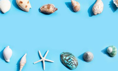 Deniz yıldızı ve mavi üzerine egzotik deniz kabuklarından yapılmış çerçeve. Yaz dönemi. Kavram